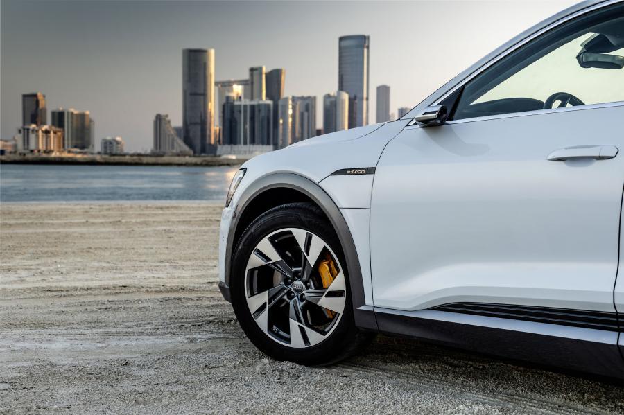 Детали экстерьера Audi e-tron 55 Quattro 2019 года  (WW) (фото 289 из 452)